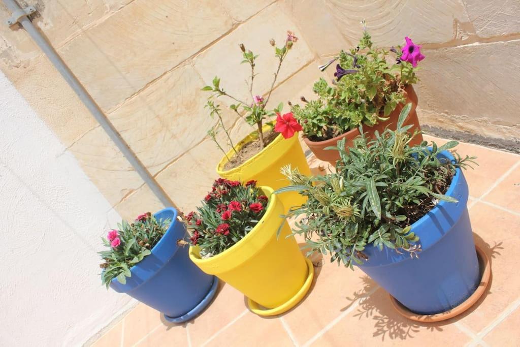 That Little Zurrieq Extérieur photo